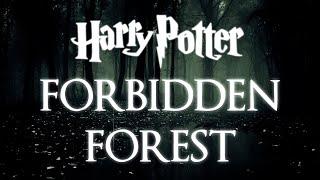 Forbidden Forest  Harry Potter Music and Ambience  Fantasy Worlds