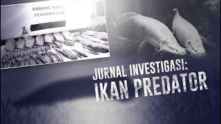 Jurnal Investigasi  Ikan Invasif