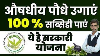 राष्ट्रीय औषधीय पादप मिशन  Subsidy For Medicinal Plant Farming  National Medicinal Plants Board 