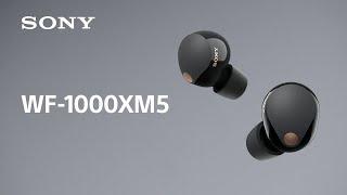 Sony Noise Cancelling Headphones WF-1000XM5 Official Product Video  Official Video