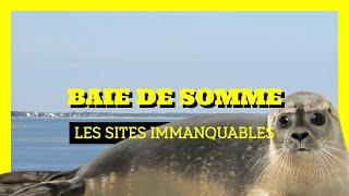 Que faire en Baie de Somme ? 