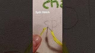 Beginner Embroidery Split Stitch