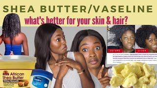 Is SHEA BUTTER BETTER Moisturizer than VASELINE FOR SKIN AND HAIR  Research + Results + Benefits