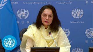 India - Security Council President on the December Programme of Work - Presser  United Nations