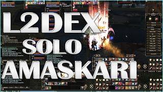 L2DEX - SKADI x300 SOLO - AMASKARI RAID.