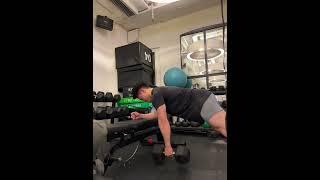 Renegade row in plank