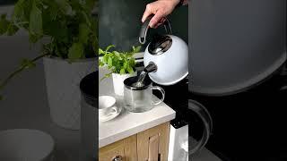 Fresh Mint Tea in Stainless Steel Kettle  AGA Cookshop