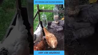 DIY chicken feeder and water drinker #shorts #diy #chickenfarming