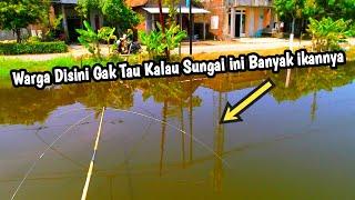 Parah‼️Spot Syahdu Begini Cuma Dilewati DoangAnco Ikan Ep.67 #netfishing #fishinglife