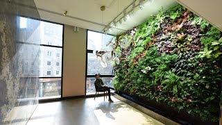 Meet the Chinese creator of living walls