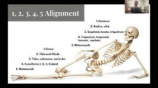 Human Movement System Body Organization