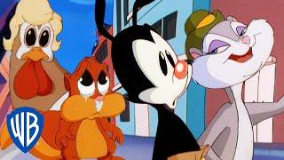 Animaniacs  Everyone But the Warners  Classic Cartoon Compilation  WB Kids