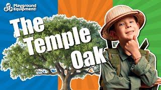 Celebrating 400 Years of The Temple Oak