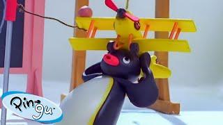 Pingus Favorite Games   Pingu - Official Channel  Cartoons For Kids