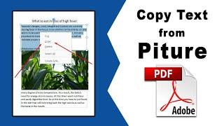 How to Copy Text From a Picture using Adobe Acrobat Pro DC