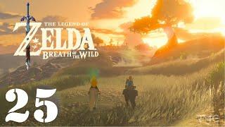 Legend of Zelda BotW - Part 25 - 1080p - No Commentary