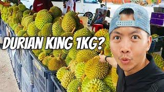 Worlds Finest Fruit Musang King - 2024 Prices & Where to Eat Varieties of Durian In Malaysia City