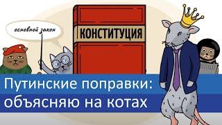 Путинские поправки объясняю на котах  Коты Ходорковского