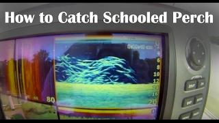 How to Catch White Perch - Learn How to Find White Perch on the Sonar - Tips for Targeting Perch