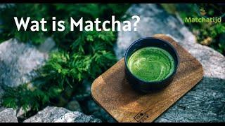 Wat is Matcha? Waarom is het gezond? - Matchatijd