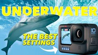 The BEST GoPro Underwater Settings Hero 10 & Hero 11 Hero 12