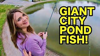 CRAZY city pond fishing with GIRLFRIEND