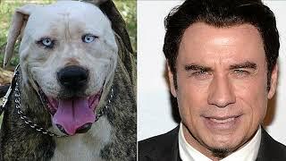 10 Celebrities And Their ANIMAL LOOK-A-LIKE