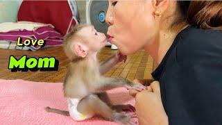 Baby monkey Tina thanks her mother when changing her diaper with special kisses