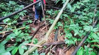 trek basah jalur Curug Cisadane