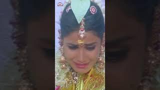 Ninne Ninne Song  Sasirekha Parinayam Movie  Tarun  Genelia  #YoutubeShorts  Mango Music