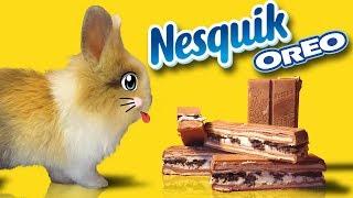 Кролик БАФФИ и OREO NESQUIK Как сделать своими руками ОРЕО НЕСКВИК?