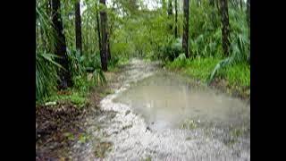 Hurricane Jeanne - Aftermath in Winter Springs Florida 2004