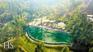 ALAYA RESORT UBUD  200m WALK to MONKEY FOREST Hotel tour 4K