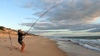 Solo Beach Fishing 3 Top Fish In One Session CATCH and COOK