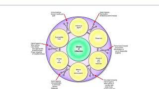 Chapter 24 asepsis and infection