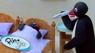 Pingu Pretends to Be Sick  Pingu Official  Cartoons for Kids