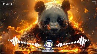 DJ Remix 2024抖音版最佳Tik Tok混音音樂  2024 年最劲爆的DJ歌曲Chinese Remix Hub Official  Panda Remix