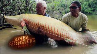 Hooking a Monsterous Arapaima On a Fly  ARAPAIMA  River Monsters