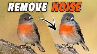 NOISE SIMPLIFIED WHAT CAUSES IT HOW TO REMOVE IT