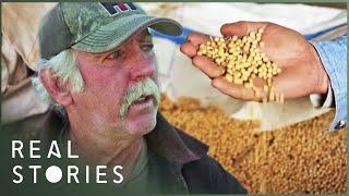 The Farmer Who Took On Monsanto David Vs. Goliath Documentary  Real Stories