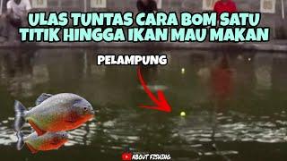 Ulas Tuntas Teknik Memancing Bawal Dengan Cara BOM Satu Titik