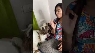 Nalla adipoli thala  sheethal elzha  sheethal and vinu  sheethal  dog lover  skippy 