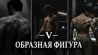 4 шага к созданию V-ОБРАЗНОЙ ФИГУРЫ  Выгляди статусно