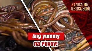 Nakakain na ba kayo ng puyoy?  Kapuso Mo Jessica Soho