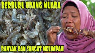 Menangkap Ribuan Udang Menggunakan Jaring Tradisional