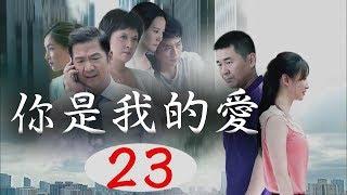 你是我的愛 23 經典家庭倫理情感電視連續劇 【主演：張國立 陳建斌 鄧婕】中產家庭的情感危機