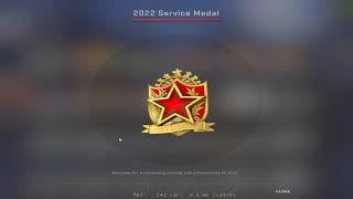 Getting 2022 Tier 6 Service Medal in CSGO