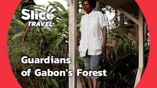 Gabon’s Hidden Forest Guardians  SLICE TRAVEL