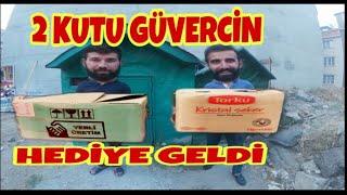 İKİ KOLİ GÜVERCİN HEDİYE GELDİ. MUHTEŞEM GÜVERCİNLER THE PİGEON