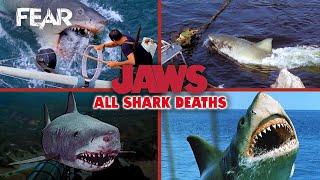 Every Shark Death From Jaws At The Same Time  Fear The Home Of Horror